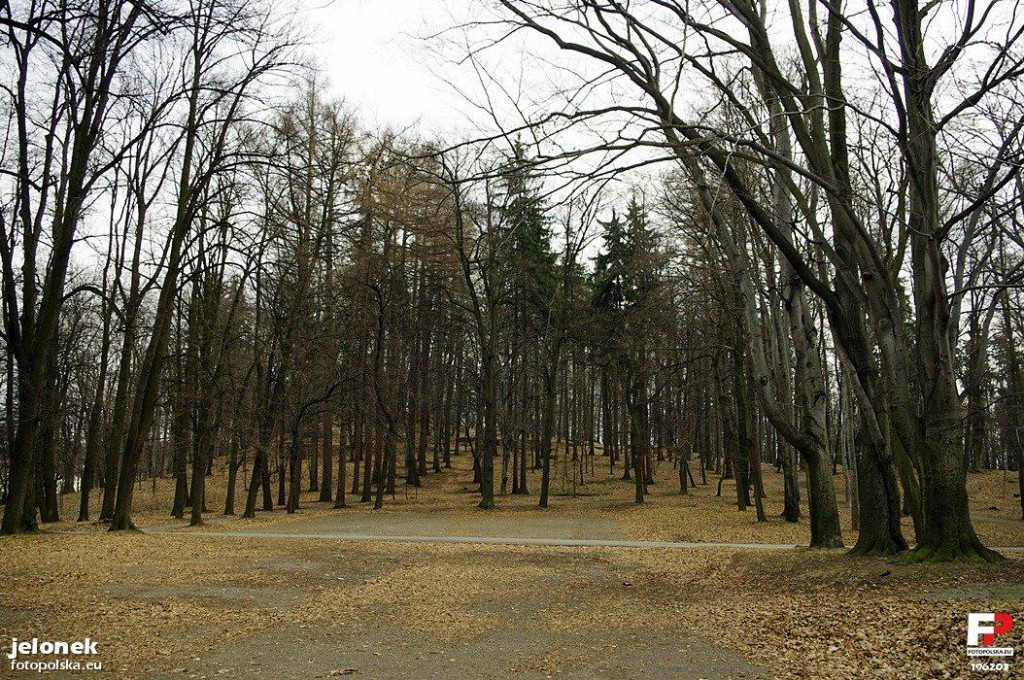 Park Wzgórze Kościuszki