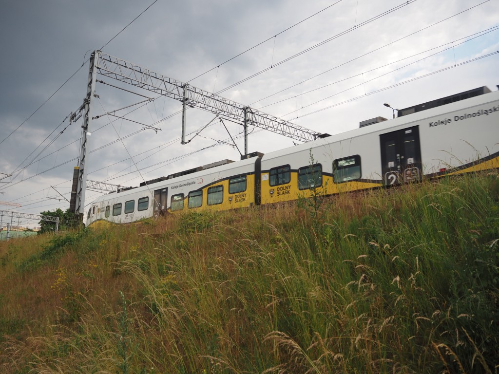 Pociąg Kolei Dolnośląskich na nasypie przy estakadzie kolejowej we Wrocławiu