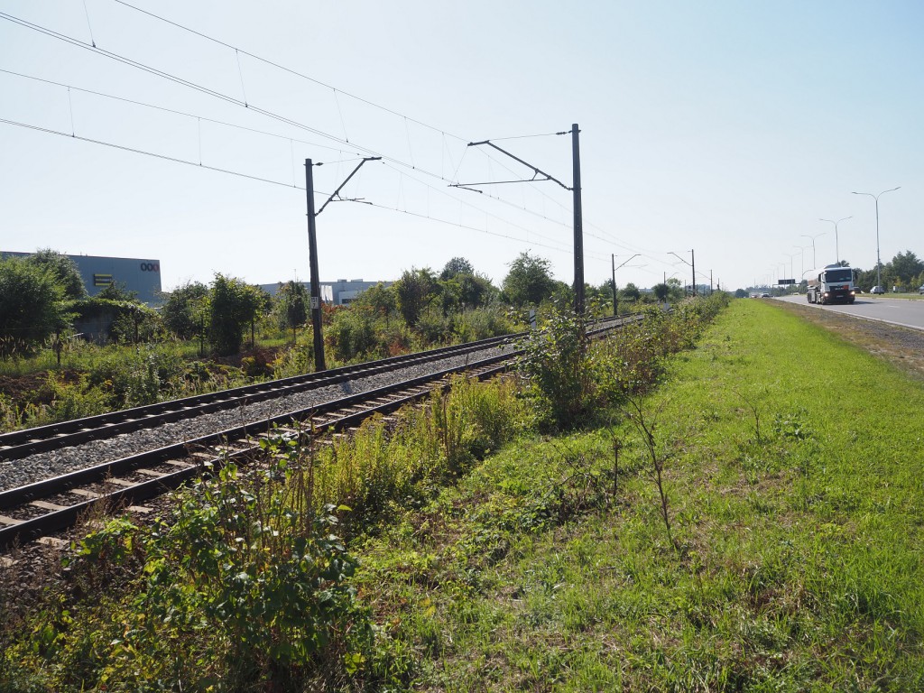 Okolica planowanego przystanku Wrocław Osiedle Sobieskiego