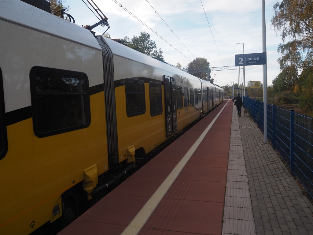 Pociąg KD w Trzcińsku