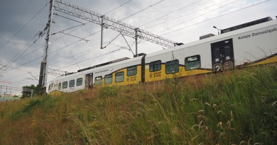 Pociąg Kolei Dolnośląskich na nasypie przy estakadzie kolejowej we Wrocławiu